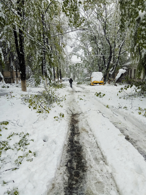 ����� �������� ��� � ������������ ��������